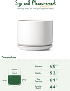 LE TAUCI Ceramic Pots for Plants, 6.8 Inch Plant Pots with Drainage Hole & Saucer, Modern Planter for Indoor Plants, Stable & Durable, Perfect for Living Room or Office Decor, White
