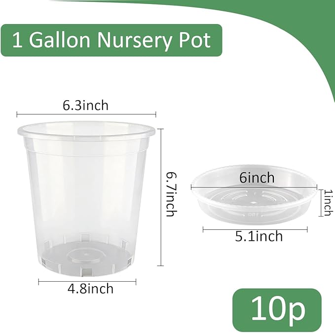 BTPLASTIK 1 Gallon Clear Nursery Pots with Saucers 10P, 6.5 Inch Round Plastic Plant Pots with Drainage Holes
