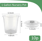 BTPLASTIK 1 Gallon Clear Nursery Pots with Saucers 10P, 6.5 Inch Round Plastic Plant Pots with Drainage Holes