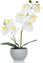 White Orchid Artificial Flowers 2 Stems in Grey Pot, Potted Faux Orchid Flower for Home Bathroom Table Living Room Office Kitchen Decor