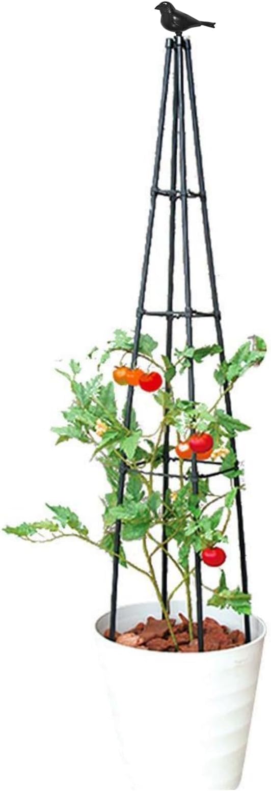 FOLLOOK Cucumber Trellis, 67" Tall Obelisk Garden Trellis for Climbing Plants Outdoor Plastic-Coated Metal Support for Flower Vine Vegetable Tomato Cage Cucumebr Trellis Raised Bed, Black, 2 Pack