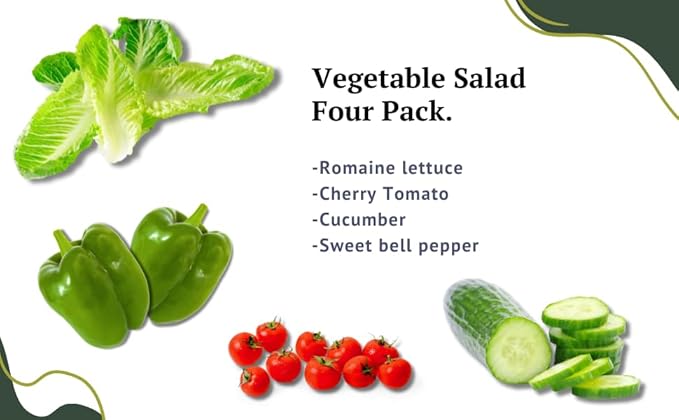 Vegetable Seeds for Planting Vegetables - Variety Salad Pack - Romaine Lettuce - Cherry Tomato - Cucumber - Bell Pepper!
