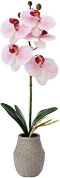 Mikasa Artificial Orchid in Pot, Real Touch Phalaenopsis Orchid, Embossed Weave Cement Pot, 16-Inch Single Branch, Watercolor Pink