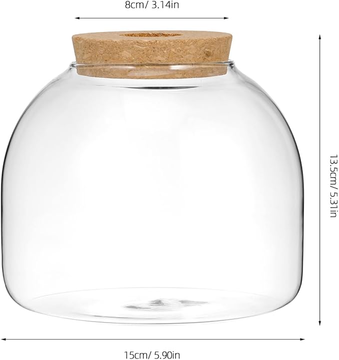 ULTECHNOVO Glass Terrarium Jar with Wood Stopper for Hydroponic Plants and Moss - 5.90 Inch Airtight Container for Micro Landscape Decor in Bedroom, Office, or as Gift for DIY Gardeners