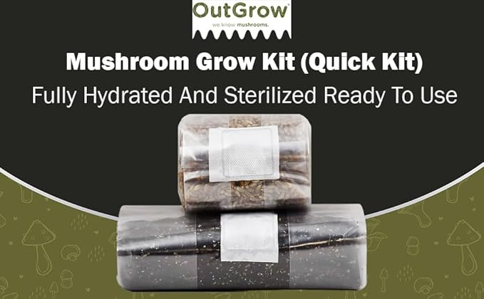 Mushroom Grow Kit (Quick Kit)