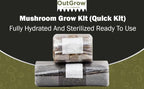 Mushroom Grow Kit (Quick Kit)