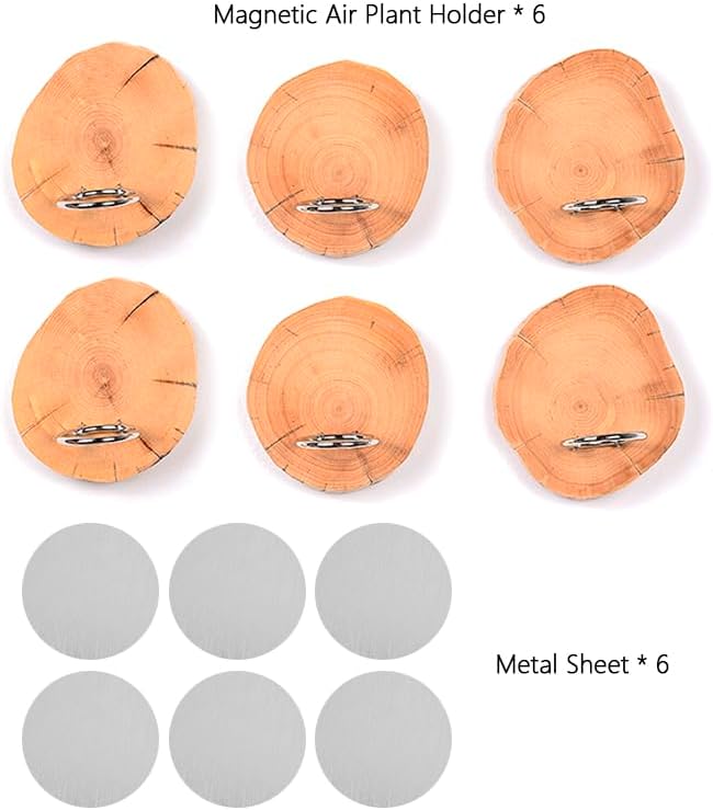 MITIME Magnetic air Plant Holder Refrigerator Sticker, Natural Wood Irregular Shape air Plant Wall Mount Holder. Refrigerator, Wall Decoration.Living Rooms, and Kitchens (Cypress Wood, 6)