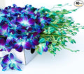 KaBloom PRIME NEXT DAY DELIVERY - WEDDING COLLECTION - 40 Blue Orchids Cut- to-Order, and Homegrown in the USA). I Gift for Birthday, Anniversary, Thank You, Mother’s Day Fresh Flowers.