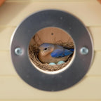 3pk Bluebird Bird Houses for Outside Clearance - Bird House for Wall Mounting - Tree Swallow Nest Box with Stainless Steel Predator Guard - Cedar Shingles Roof UV Painting - 10 Years Outdoor