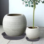 6 Pack of 7 inch Plant Saucer, Heavy Duty Plastic Plant Water Tray 7 inch Round, Flower Plant Saucers for Indoors No Holes, Plant Dishes Saucer for Planter 7"/8" (7", Cement)