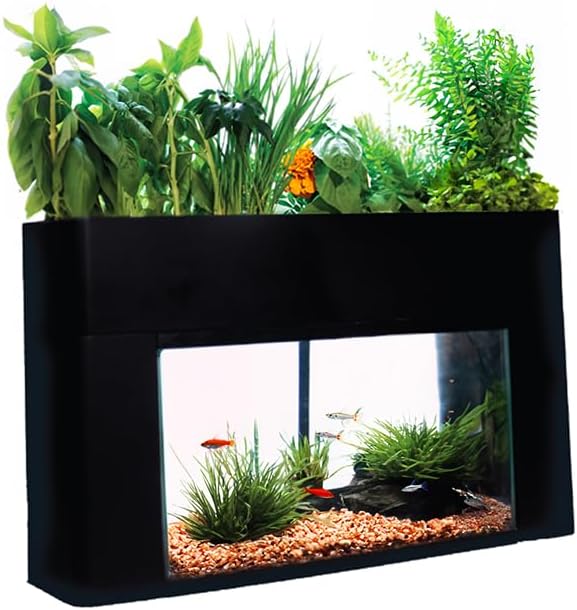 AquaSprouts Aquaponics Garden, Self-Sustaining Desktop Aquarium Hydroponics Ecosystem Kit, fits Standard 10 Gallon Aquariums