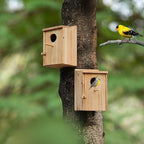 2 Pack Bird Houses for Outside, Wooden Birdhouse Kit with Front Clean-Out Door, Solid Wood Outdoor Nesting Box for Backyard Birdwatching