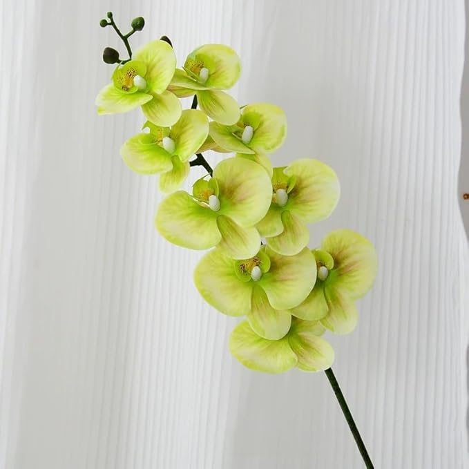 2 Pcs Orchid Stems 38" Artificial Flowers Real Touch Latex Faux Phalaenopsis Branches White Artificial Flowers for Wedding Party Home Garden Decor (Green, 38")