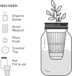 Modern Sprout Garden Jar Gift Pack - Self-Watering Hydroponics Growing System Kit with Organic Herb Seeds - Seed Starter Kit for Indoor Herb Garden - Home Decor & Gifting - Basil, Parsley & Mint