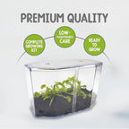 Double Venus Fly Trap Live Plant Set with Terrarium + Carnivorous Plants Food Bundle with Feeding Tweezers - Carnivorous Plant Soil and Live Indoor Venus Flytrap Pair