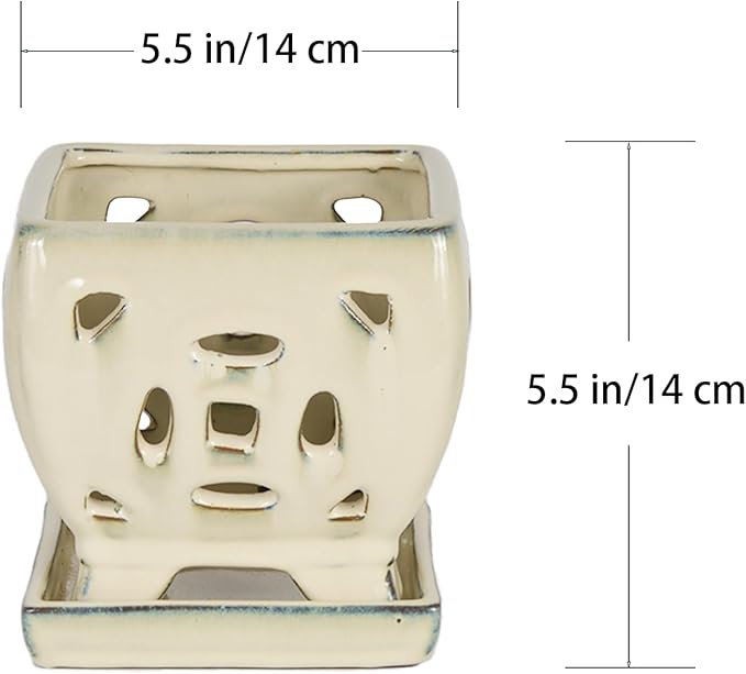 W&W Orchid Pot with Holes and Saucer for Repotting, Cream White, 5.5"
