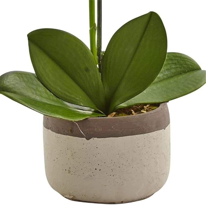 Pemberly Row Faux Phalaenopsis Orchid, 19 in Tall, White Blossoms, Two-Toned Ceramic Pot, Textured Realistic Petals and Leaves, Elegant Decor for Vanity, Bedside or Living Room