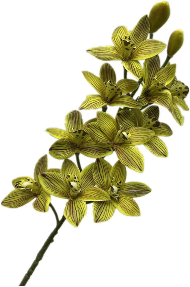 4pcs Artificial Cymbidium Orchid Flower Plant 3D Print Vanda 10 Heads Latex Phalaenopsis Flower (Light Green)