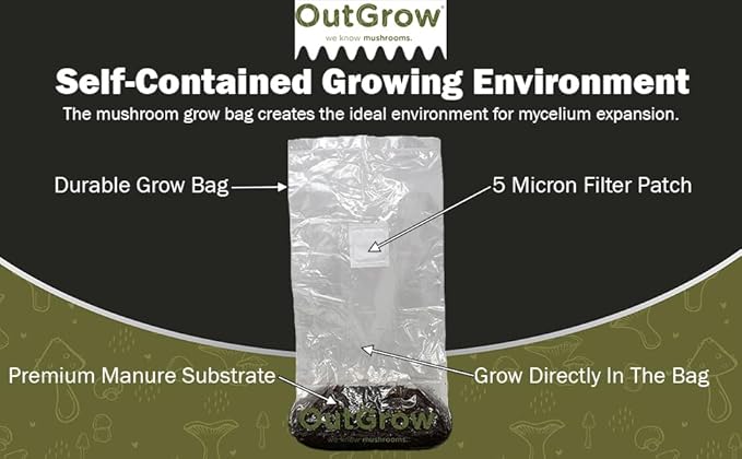 Mushroom Grow Kit (Quick Kit)