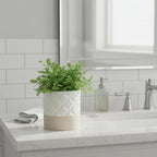 Nihow Self Watering Plant Pot: 4.5 Inch Ceramic Planter with Drainage Hole & Water Storage Plus for Indoor & Outdoor Plants - Cylinder Flower Pot for Herbs/Violets - Matte White & Brown Star