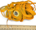 XL Xerographica Colored Air Plant, Live Tillandsia House Plant, Easy Care Indoor Outdoor, Great Gift, Healthy Arrival Guaranteed (Bright Orange)