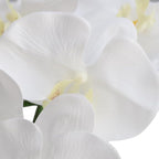 Htmeing 38 Inch Artificial Phalaenopsis Flowers Branches Real Touch (Not Silk) Orchids Flowers for Home Office Wedding Decoration,Pack of 2 (White)