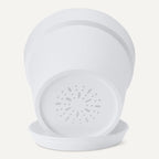 Amazon Basics Plant Pot with Saucer, 8 inch, White, 1-Pack