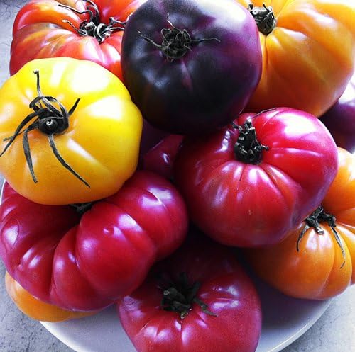 This is A Mix 30 Rainbow Deluxe Tomato Seeds Mix 16 Varieties, Heirloom Non-GMO, Indeterminate, Old German, Chocolate Stripes, Ukrainian Purple, Amish Paste USA Grown Solanum lycoperscium