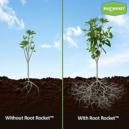 Brighter Blooms - Root Rocket Transplant Fertilizer, 2oz Packet - All The Nutrients Your Plant Needs - No Shipping to AK, AZ, HI, OR