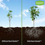 Brighter Blooms - Root Rocket Transplant Fertilizer, 2oz Packet - All The Nutrients Your Plant Needs - No Shipping to AK, AZ, HI, OR