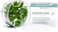 Ultum Nature Systems Anubias Heterophylla Tissue Culture Live Plant for Aquarium, Aquascape, Freshwater Fish Tanks - 100% Snail Free in Vitro