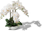 Larksilk 20" White Phalaenopsis Orchid Flowers in 8" Round White Pot | Realistic Faux Orchid | Elegant Indoor Decor for Home & Office