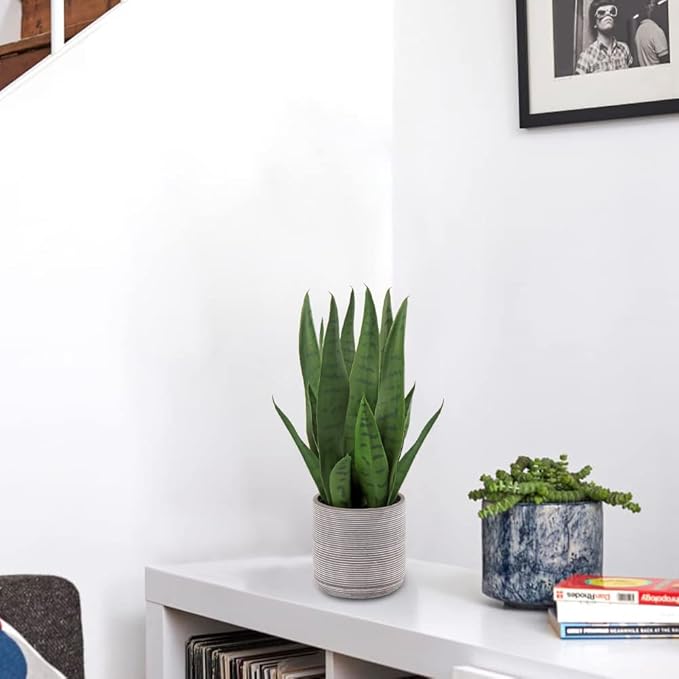 Briful Fake Snake Plant 16" Faux Potted Plant Artificial Snake Plant with Cement Pot Sansevieria Plant Perfect for House Modern Living Room Office Housewarming Gift Indoor Decor