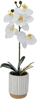 Mikasa Artificial Orchid in Pot, Real Touch Phalaenopsis Orchid, Cream Glaze Ceramic Pot, 16-Inch Single Branch, White/Yellow