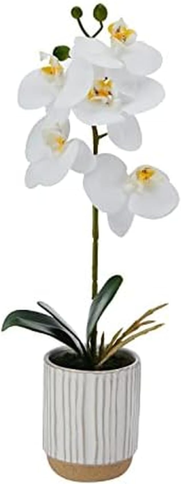 Mikasa Artificial Orchid in Pot, Real Touch Phalaenopsis Orchid, Cream Glaze Ceramic Pot, 16-Inch Single Branch, White/Yellow
