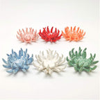 6 Pack air plant Holders (6Pcs Air Plant Containers w/6 Colors Assorted) A Ceramic Coral Set to CreateGifts or Decorate Tabletop - air plants Not Included