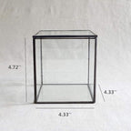 Small Square Glass Terrarium with Lid,Geometric Clear Box for Indoor Plants,Black Little Handmade Planter Pot for Succulents,Moss and Air Plant Fern,Home Garden Decor,4.3 x 4.3 x 4.7inch