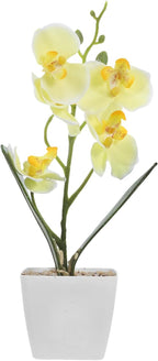 Artificial Butterfly Orchid Potted Flowers Real Touch Faux Orchids in Plastic Pot Yellow Home Table Centerpiece Decoration for Office Living Room