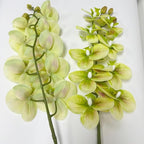 2 Pcs Orchid Stems 38" Artificial Flowers Real Touch Latex Faux Phalaenopsis Branches White Artificial Flowers for Wedding Party Home Garden Decor (Green, 38")