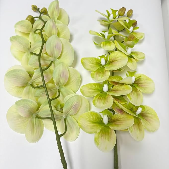 2 Pcs Orchid Stems 38" Artificial Flowers Real Touch Latex Faux Phalaenopsis Branches White Artificial Flowers for Wedding Party Home Garden Decor (Green, 38")