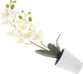 BESPORTBLE Artificial Phalaenopsis Orchid Bonsai Plant in White Pot, Lifelike Small Faux Flower for Indoor Home Decor, Simulated Potted Plant Ornament for Office Tabletop and Living Room