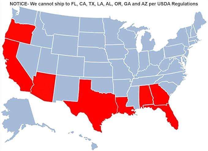 Brighter Blooms - Tangelo Tree, 2-3 ft. - No Shipping to AK, AL, AZ, CA, FL, GA, HI, LA, MS, OR, TX