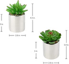 Briful Small Artificial Succulents in Pots Set of 2 Realistic Faux Succulents Plants with Silver Ceramic Pots Cute Mini Fake Plants Decor for Modern Home Table Office Desk Bathroom Shelf Decoration