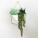 6pcs Artificial Fake String of Pearls Plant Faux Fake Hanging Succulents Plants (6, Green)
