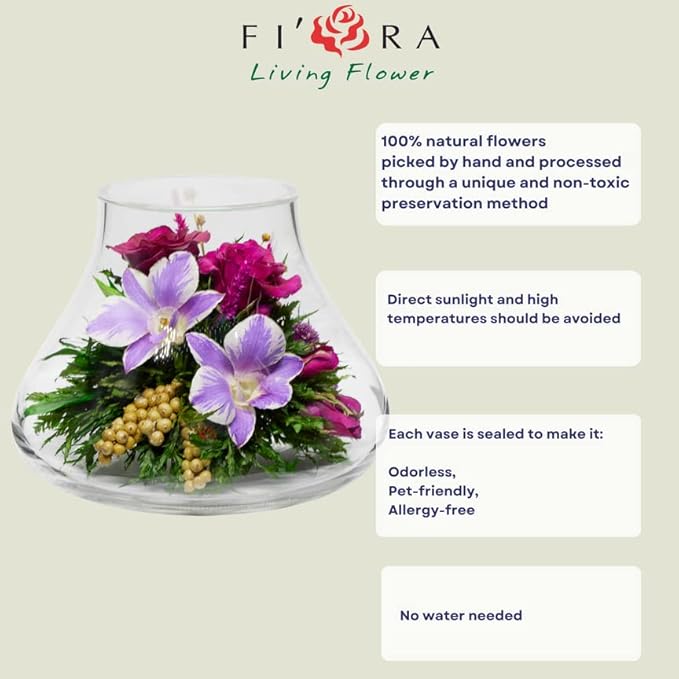 Luxury Orchid Arrangement | Preserved Orchids in Glass Vase | Long-Lasting Flowers for Anniversary, Wedding, or Corporate Gifts