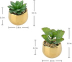 Briful Small Artificial Succulents in Pots Set of 2 Realistic Faux Succulents Plants with Gold Ceramic Pots Cute Mini Fake Plants Decor for Modern Home Table Office Desk Bathroom Shelf Decoration
