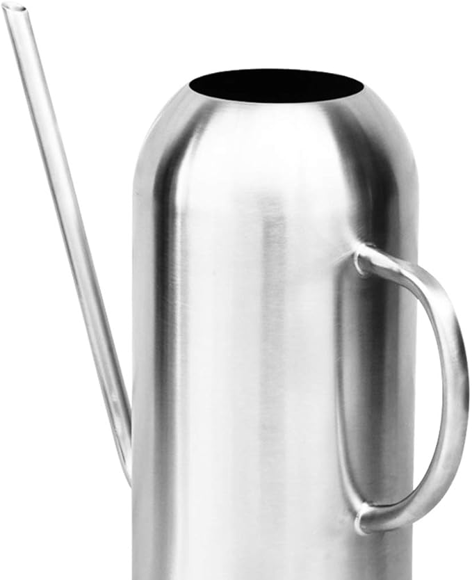 Fasmov Stainless Steel Watering Can with Long Spout Modern Style Watering Pot, 53oz/1.5L