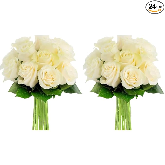 KaBloom - 24 Stems of White Roses (Cut-to-Order, and Homegrown in the USA) - Fresh Flowers for Birthday, Valentine's & Mother's Day