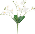 PRETYZOOM Artificial Phalaenopsis Orchid Stem Realistic Faux Butterfly Orchid Flower for Home Decor Living Room Office Wedding and Event Decoration