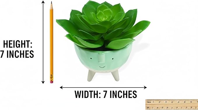Faux Agave, Fake Succulents, Artificial Plants in Cute Smiling Face Pot - 7" Small Potted Greenery for Office Desk Decor, Funny Shelf Accessories & Unique Gifts for Women Coworker